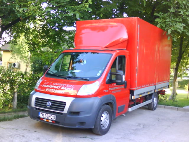-Transporturi-Mutari-Relocari-Timisoara-