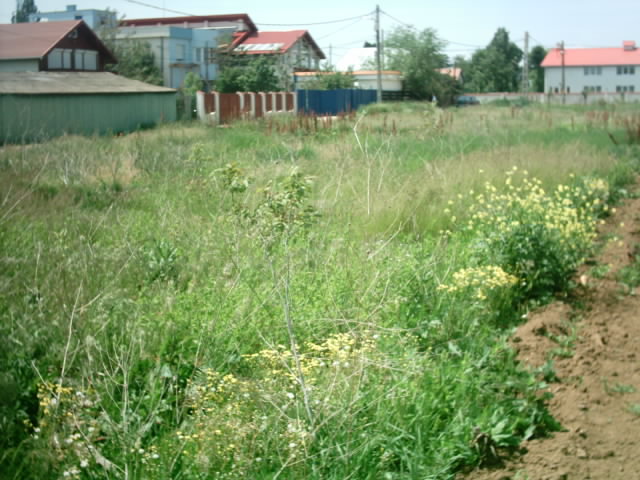 Vand teren Snagov