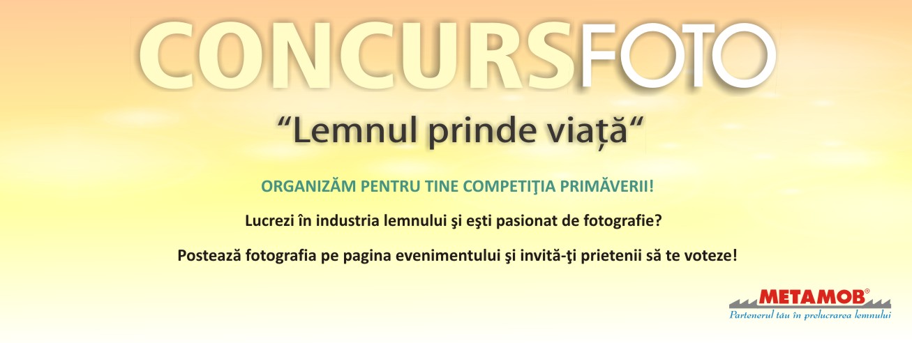 Concurs foto – industria lemnului
