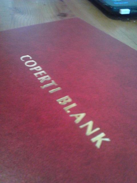 Coperti blank pe surub pentru audley