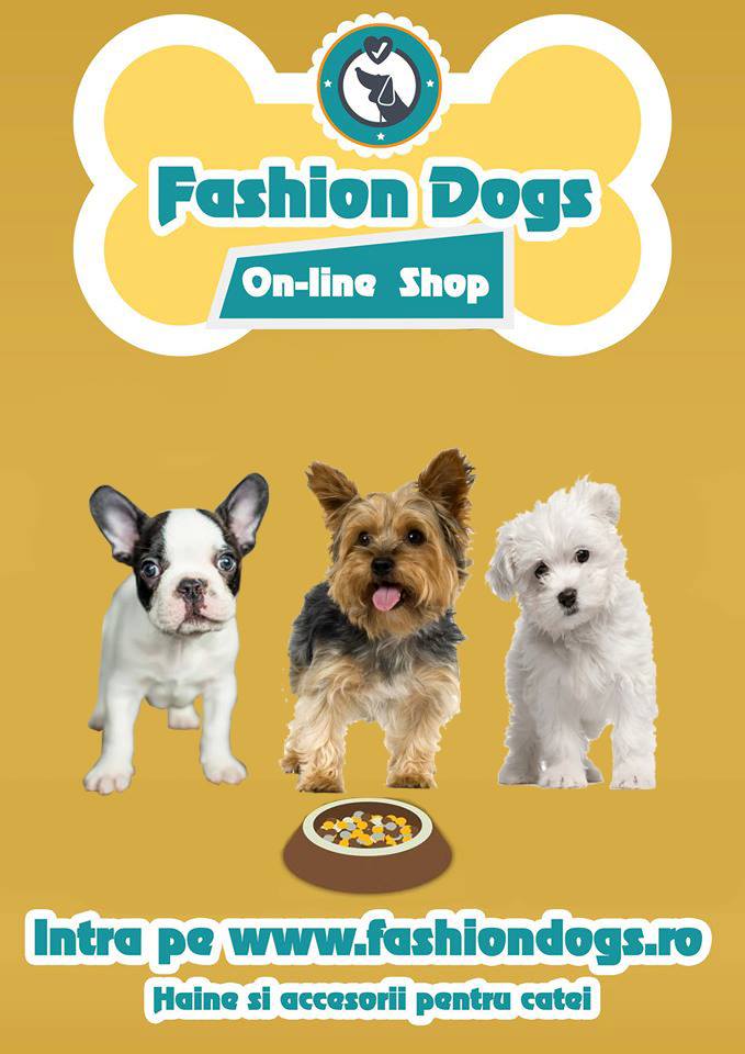 Vand Haine pentru Catei la cele mai bune preturi din Romania.