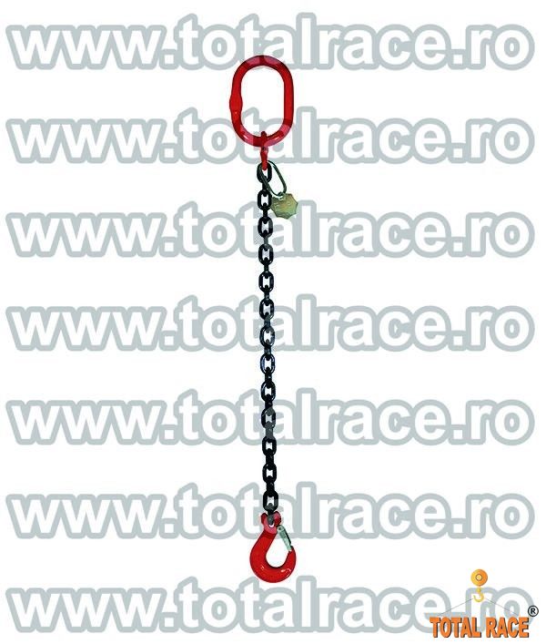 Dispozitive de ridicare din lant cu un brat