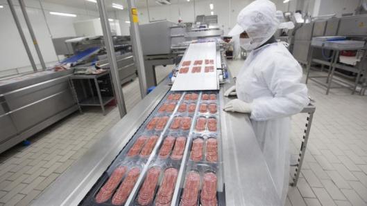 fabrica de mezeluri germania