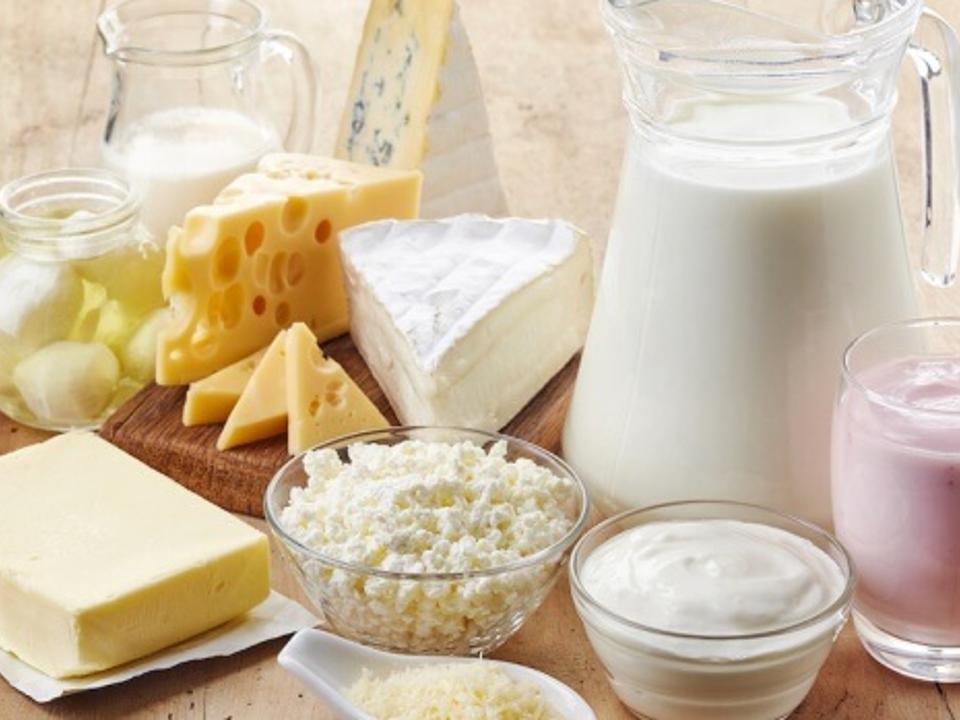 operator banda germania