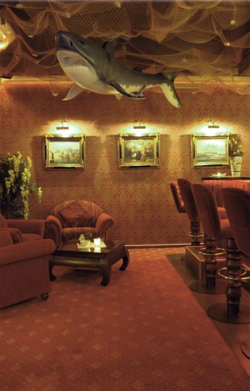 ANIMATOARE CLUB GERMANIA