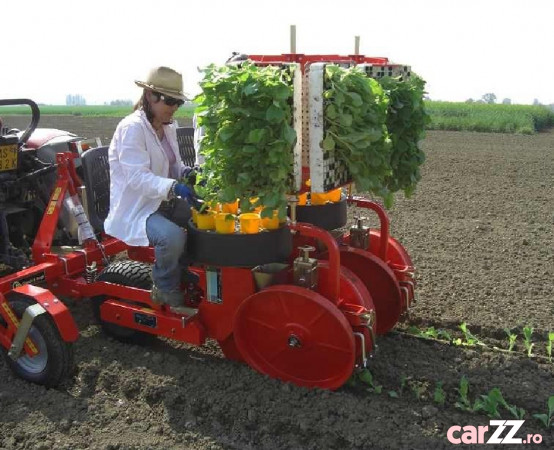 plantat rasaduri germania