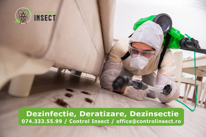 Control Insect, deratizare, dezinsectie. Estimare gratuita!