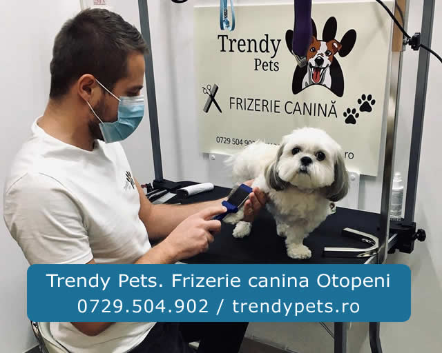 Trendy Pets. Frizerie canina Otopeni