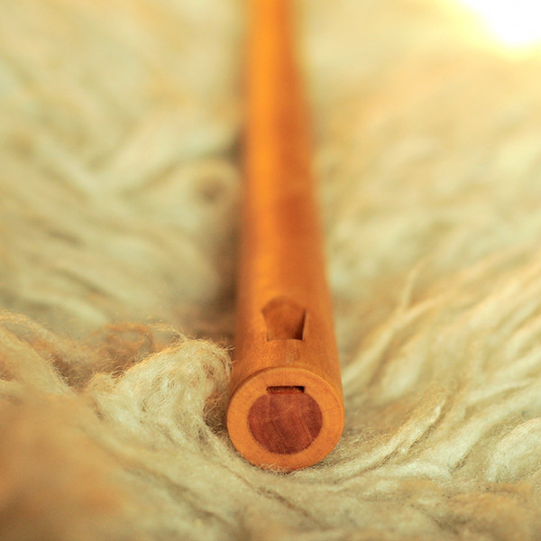 Caval tradițional cu husa Gratis