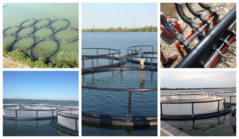 Viviere flotabile (plutitoare)