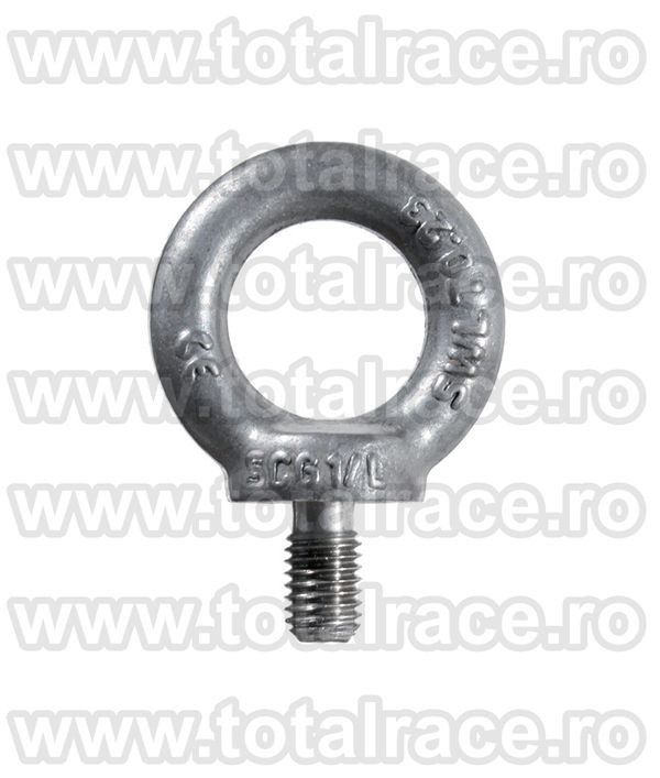 Ocheti de ridicare DIN 580 cu surub