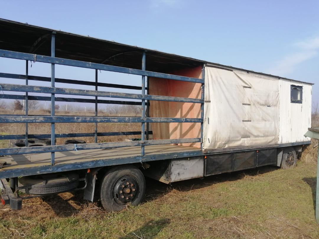 vagon apicol