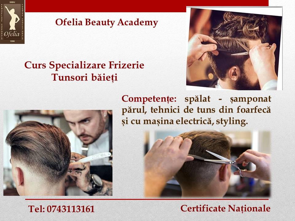 Curs Specializare Frizerie