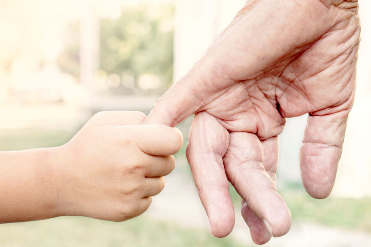 Solicitați o ofertă individuală de preț