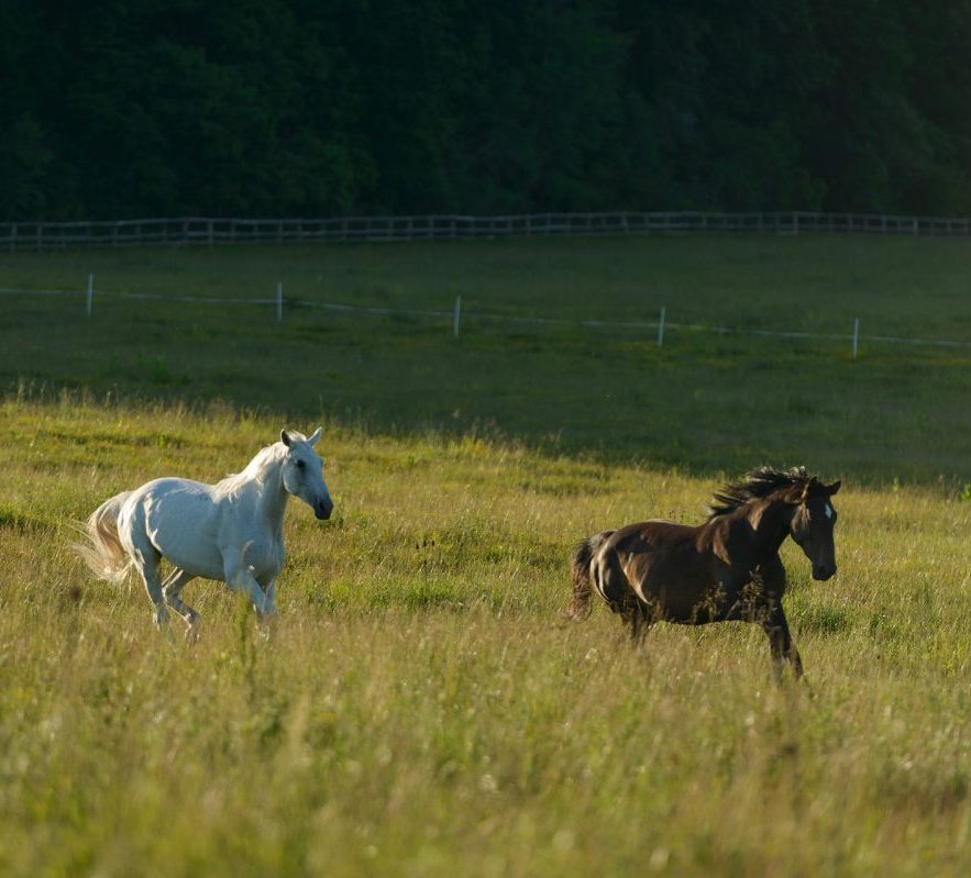 Noi suntem solutia ta