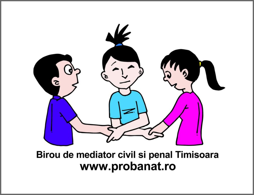 Mediator Timisoara civil si penal