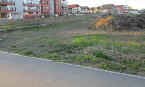 Vanzare teren Caldarusani Gradistea stradal 12000mp