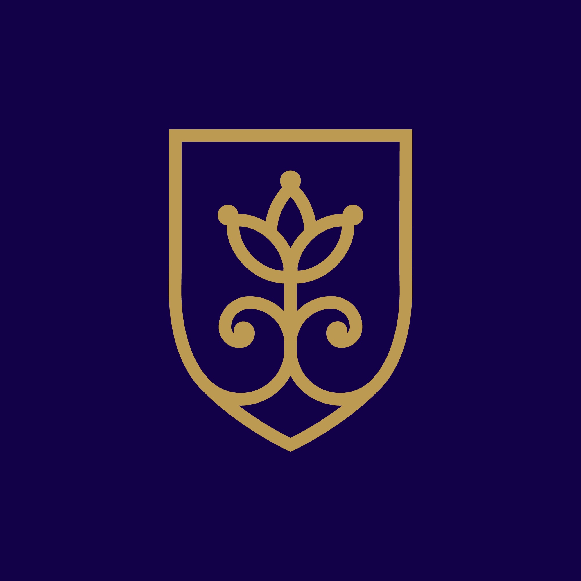 Royal Town Iași – apartamente direct de la dezvoltator