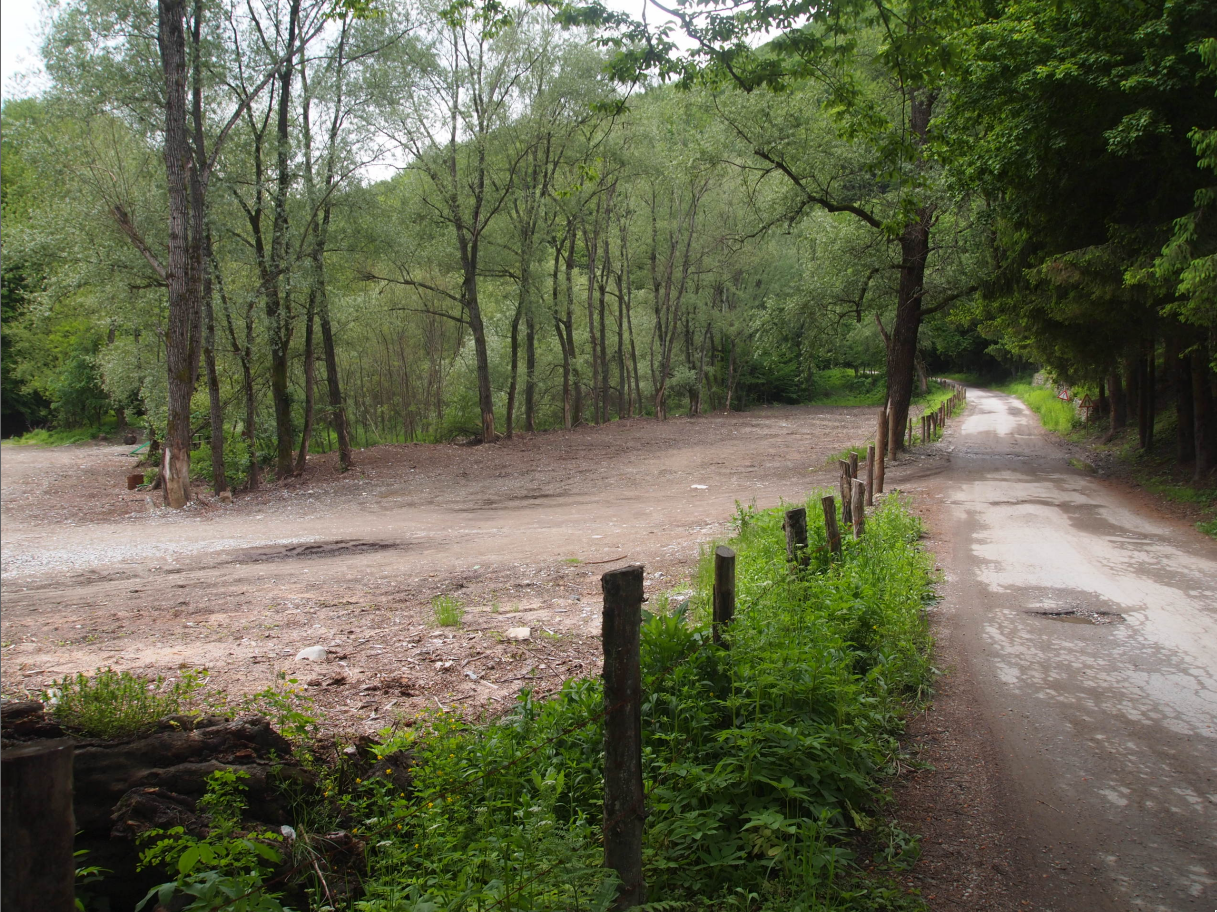 Proprietate imobiliara teren – Runcu