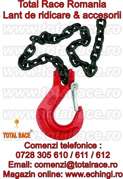 Dispozitiv lant de ridicare grad 80 macarale