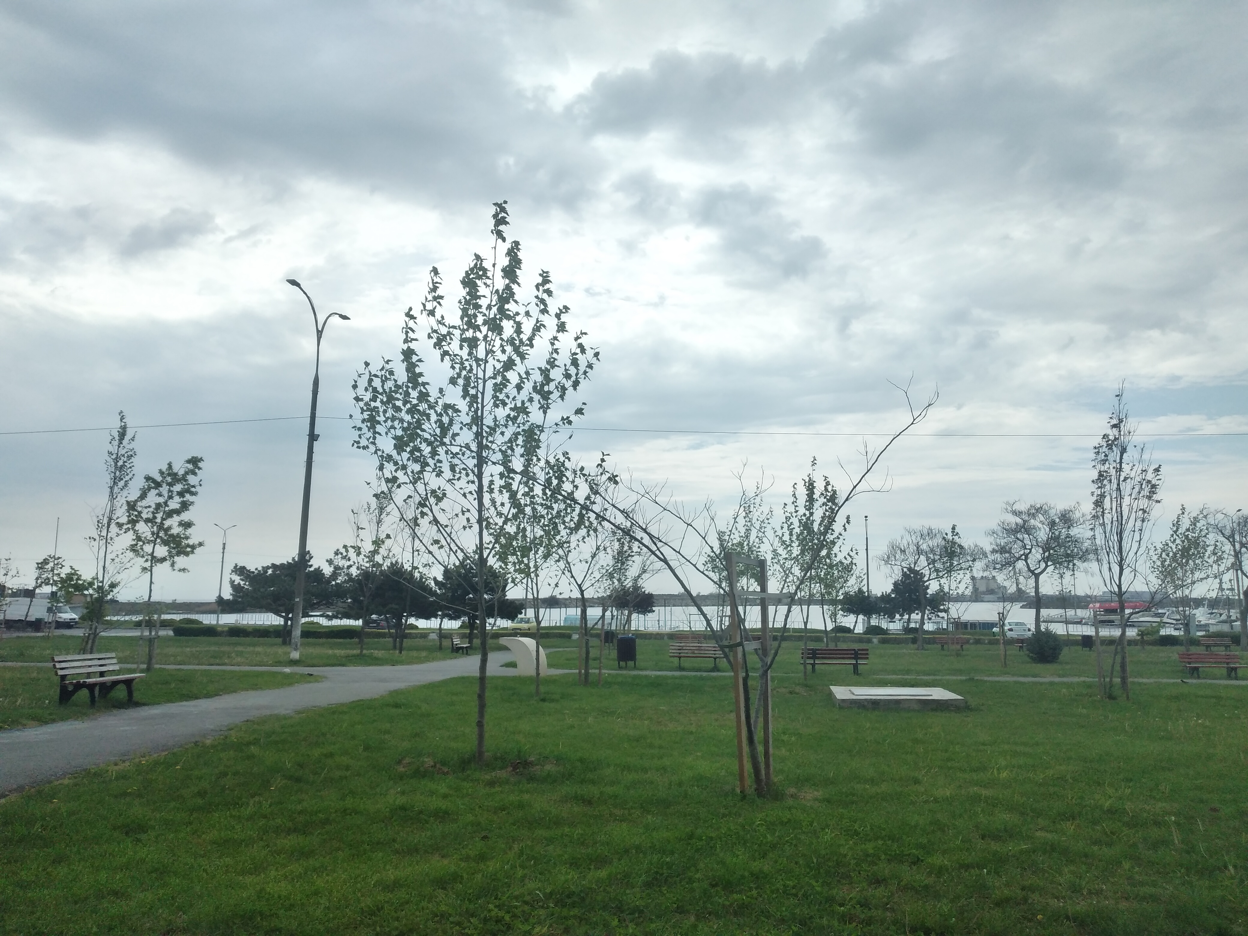 Barbat simpatic caut partenera