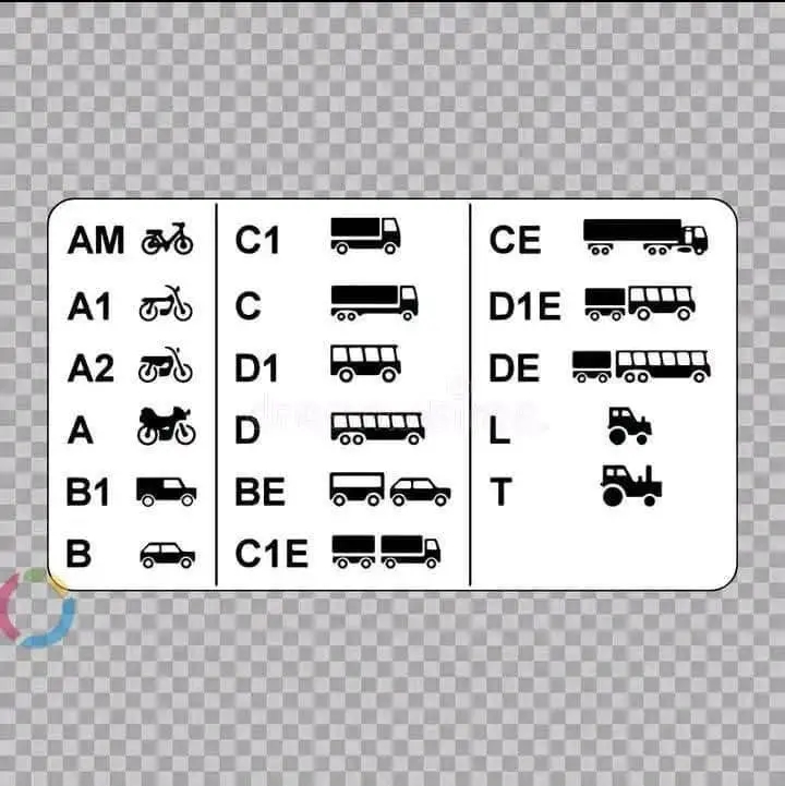 Permis De Conducere Prin Școală De Șoferi / 100% Legal European