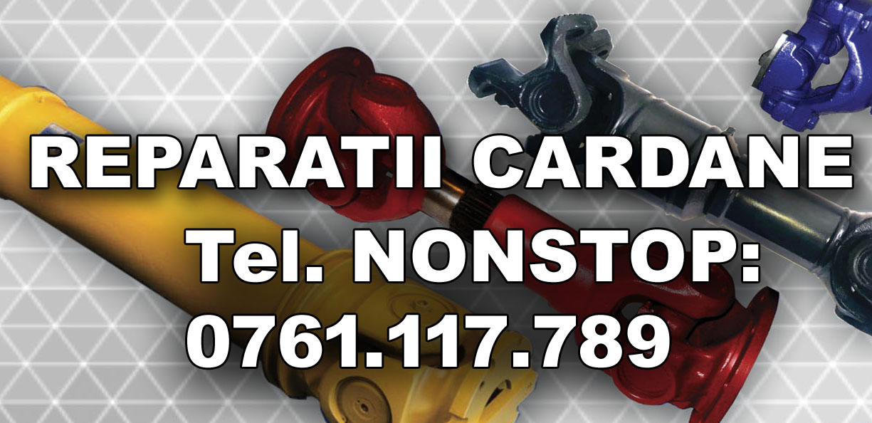 Reparatie Cardan SPRINTER  308, 310, 312, 313, 315, 413