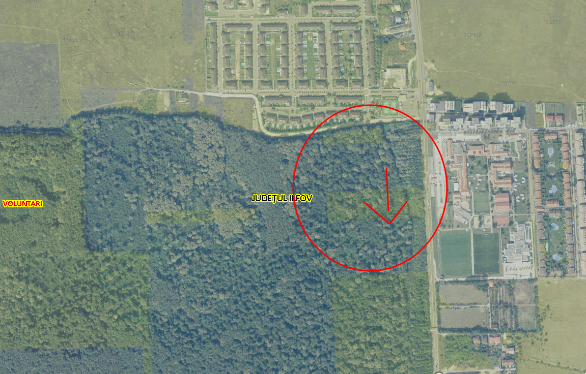 Proprietate imobiliara – teren 10.000 mp, Voluntari