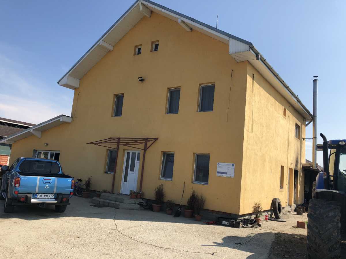 Ferma bovine – Satu Mare