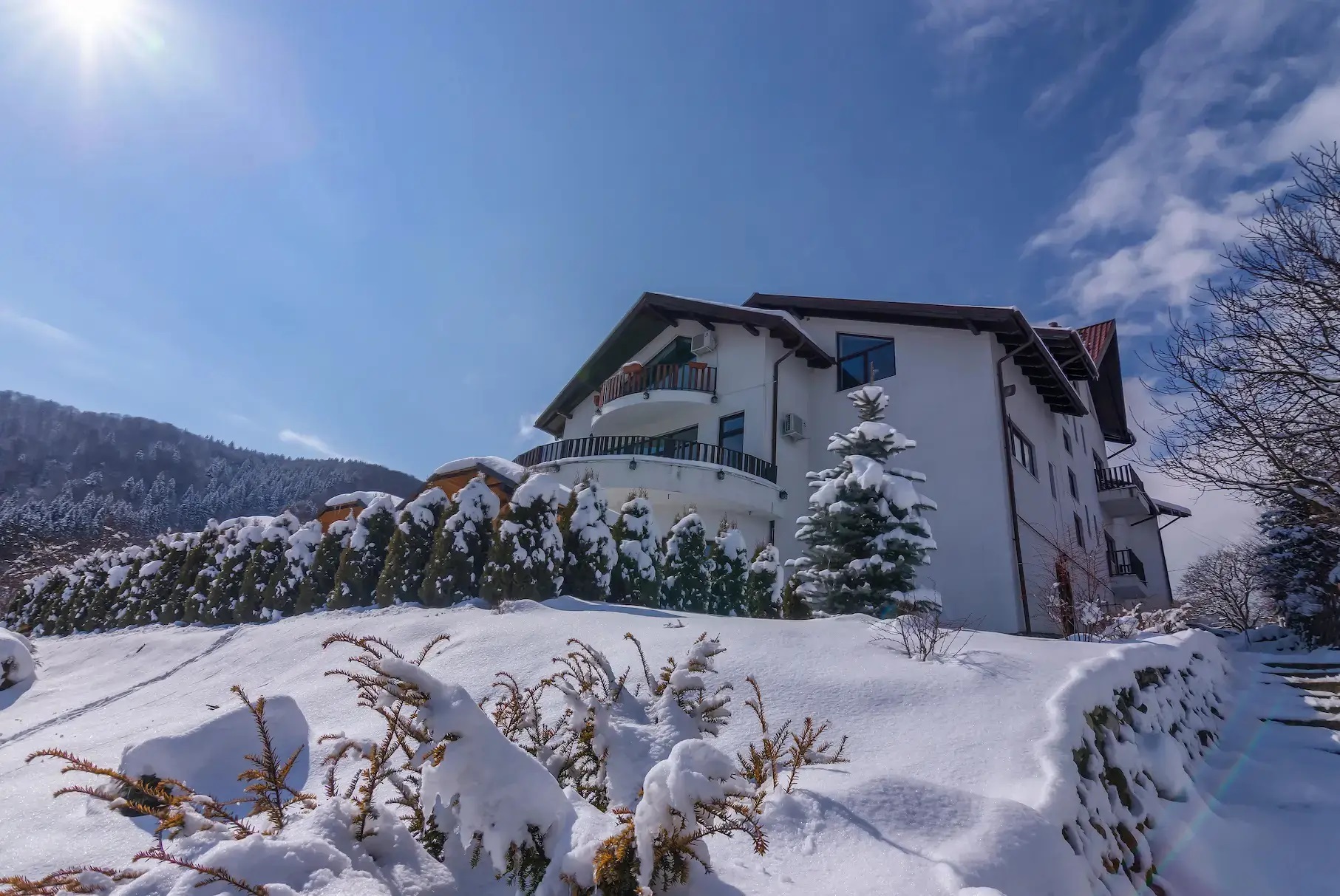 Transylvanian Inn Vila in Predelut, Bran