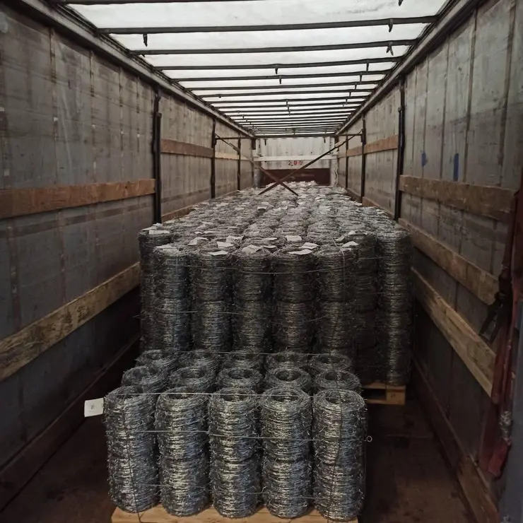 Sarma ghimpata Vanzare en-gros