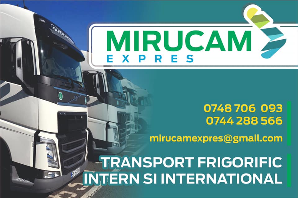 Personal birou in transporturi limba Spaniola- tura de noapte