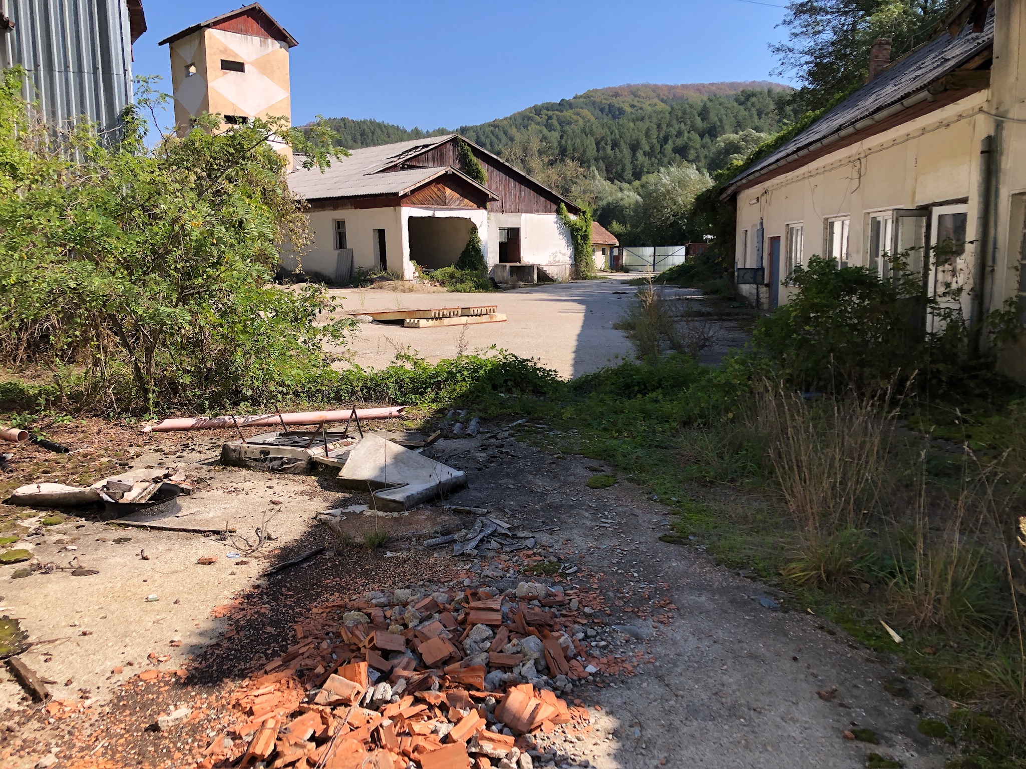 Proprietate imobiliara – sat Buciumi, jud. Maramures