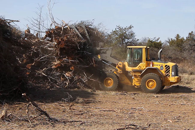 Servicii Profesionale de Defrișare și Curățare Terenuri