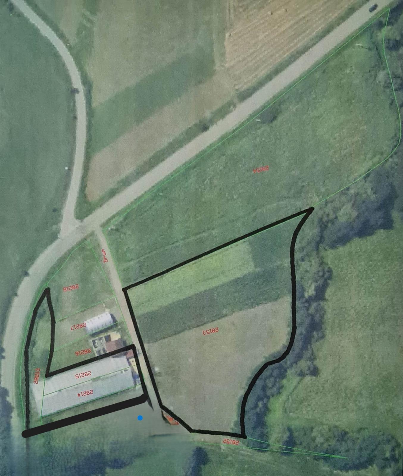 Proprietate cu potential investitional – hala productie + sera moderna, Blajenii de Jos (jud. Bistrita-Nasaud) Proprietate cu potential investitional – hala productie + sera moderna, Blajenii de Jos (jud. Bistrita-Nasaud)