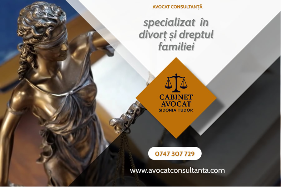 Avocat Consultanta Juridica Online. Asistenta
